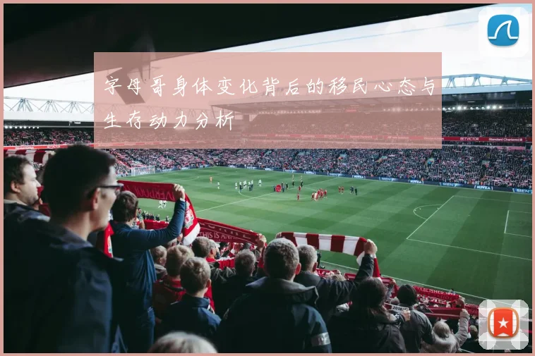 字母哥身体变化背后的移民心态与生存动力分析
