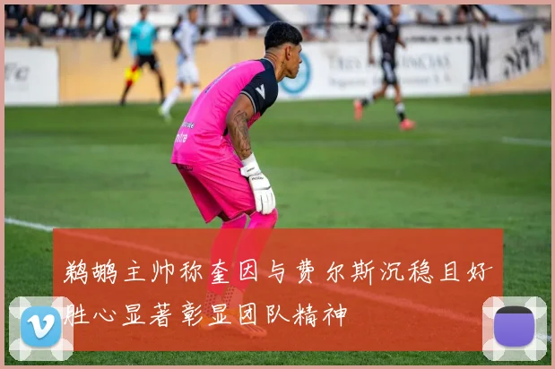 鹈鹕主帅称奎因与费尔斯沉稳且好胜心显著彰显团队精神