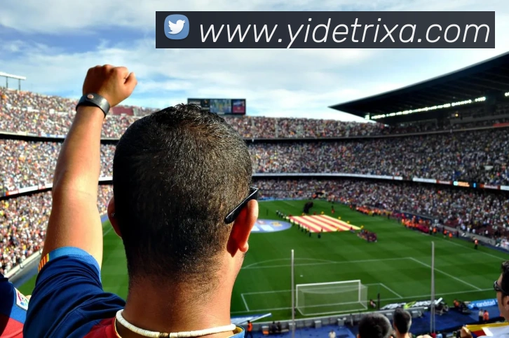 亿德体育平台生态图